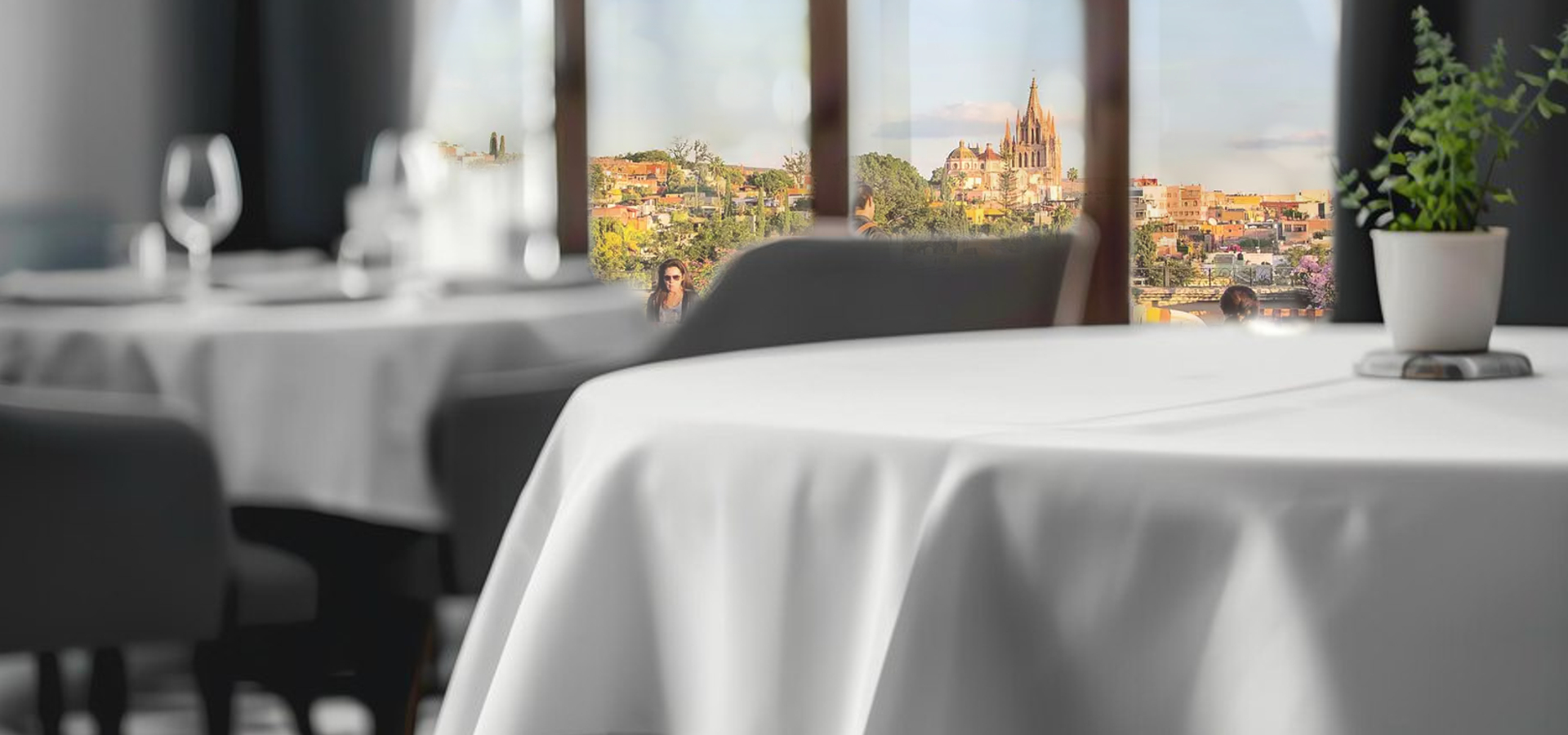 Lavandería para restaurantes