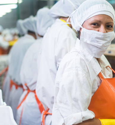 Lavandería para la agroindustria