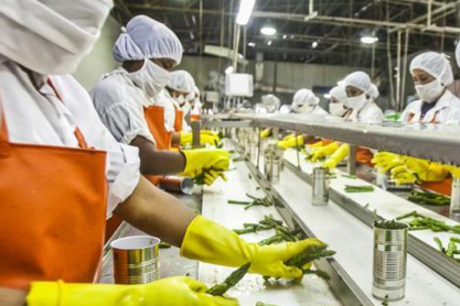 Lavandería para la agroindustria