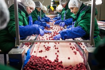 Lavandería para la agroindustria