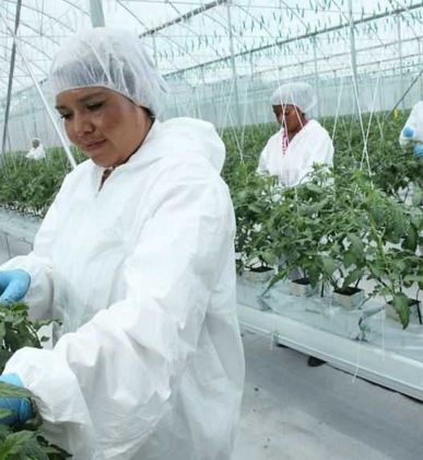 Lavandería para la agroindustria