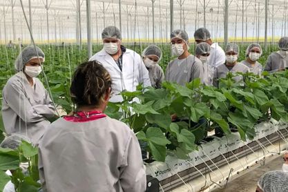 Lavandería para la agroindustria